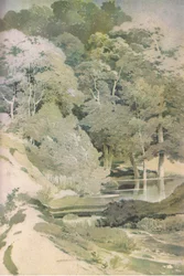 Oude Beuk in Windsor Forest, Natuur in Groot-Brittannië uitgegeven door Collins, 1946